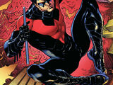 Nightwing: Traps and Trapezes (Collected)