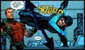 Nightwing 0096