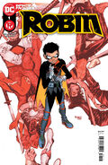 Robin Vol 3 (2021—2022) 17 issues