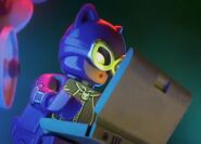 Selina Kyle The Lego Movie The Lego Batman Movie