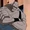Charles Bigelow (DCAU)