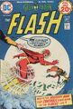 The Flash Vol 1 228
