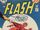 The Flash Vol 1 228