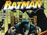 Batman Vol 1 674
