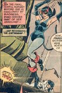 Selina Kyle Earth-One Silver Age