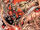 Red Lanterns Vol 1 4 Textless.jpg