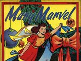 Mary Marvel Vol 1 8