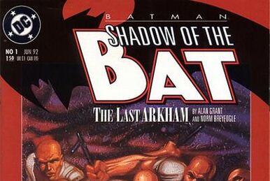 Batman: Shadow of the Bat Vol 1 4 | DC Database | Fandom