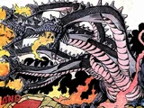 Hydra (species)