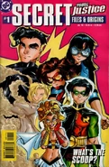 Young Justice Secret Files and Origins 1.jpg (69 KB) Young Justice Secret Files and Origins Vol 1 1