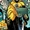 Bratha (Prime Earth)