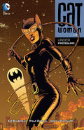 Catwoman Under Pressure (Collected)