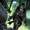 Dario Tomasso (Prime Earth)