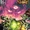 Justice League Vol 2 20