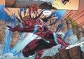 Flash Wally West Prime Earth 0014