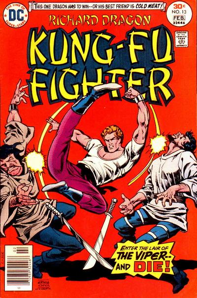 kung fu fighter