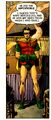 Robin Dick Grayson 0025