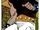 Rustam 0003.jpg