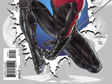 Nightwing Vol 3 0