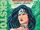 Wonder Woman: Amazon Warrior (novel)