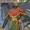 Rama Khan (New Earth)