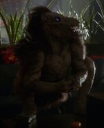 Chupi Arrowverse DC's Legends of Tomorrow