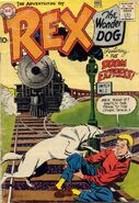 Adventures of Rex the Wonder Dog Vol 1 43