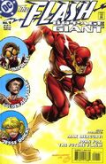 The Flash 80-Page Giant Vol 1 1