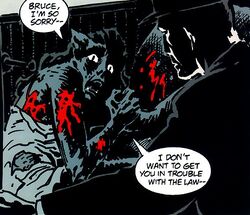 Catwoman Curse of the Cat-Woman 01.jpg
