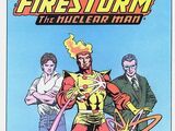 Firestorm Annual Vol 2 3