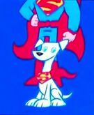 Krypto DC Nation DC Super-Pets!