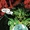 Neron Prime Earth 007.png