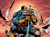 Slade Wilson (Flashpoint Timeline)
