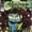 Shade, the Changing Man Vol 2 5