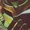 Brainiac 13 (New Earth)