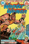 Wonder Woman Vol 1 215