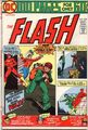 The Flash Vol 1 229