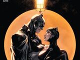 Batman/Catwoman Vol 1 11