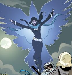 Raven (disambiguation), DC Database