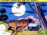 Ace the Bat-Hound (Earth-One)