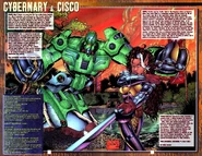 Albert Kaplan Wildstorm Universe Cybernary