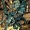 Green Arrow (Oliver Queen)