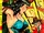 Phantom Lady (Fox) Vol 1 23