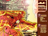 The Flash Secret Files and Origins Vol 1 3