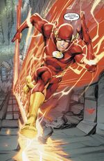 Flash 0110