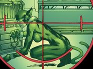 Selina Kyle Alternate Timelines Anansi Timeline