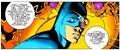 Bruce Wayne XX Elseworlds Robin 3000
