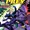 Birds of Prey Vol 1 13