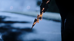 Cicada's Daggers 002