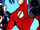 Flash (Teen Titans TV Series)